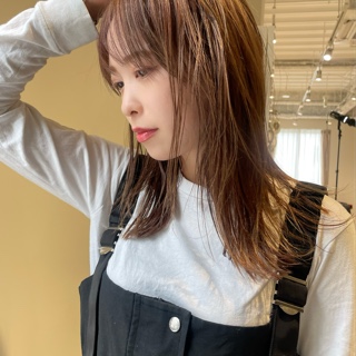 志帆