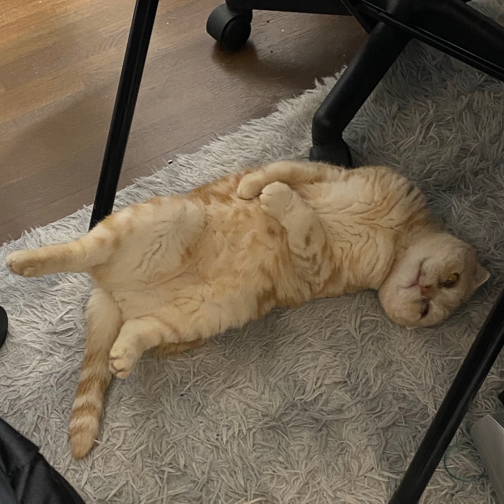 今さんてすと【てすと】