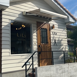 LiLy salon