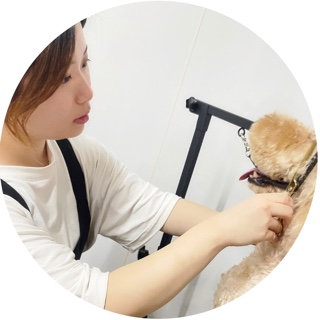 KIRARA🐾トリミング