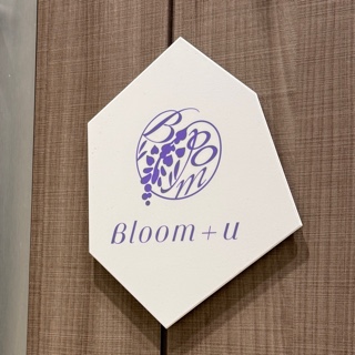 Bloom+u