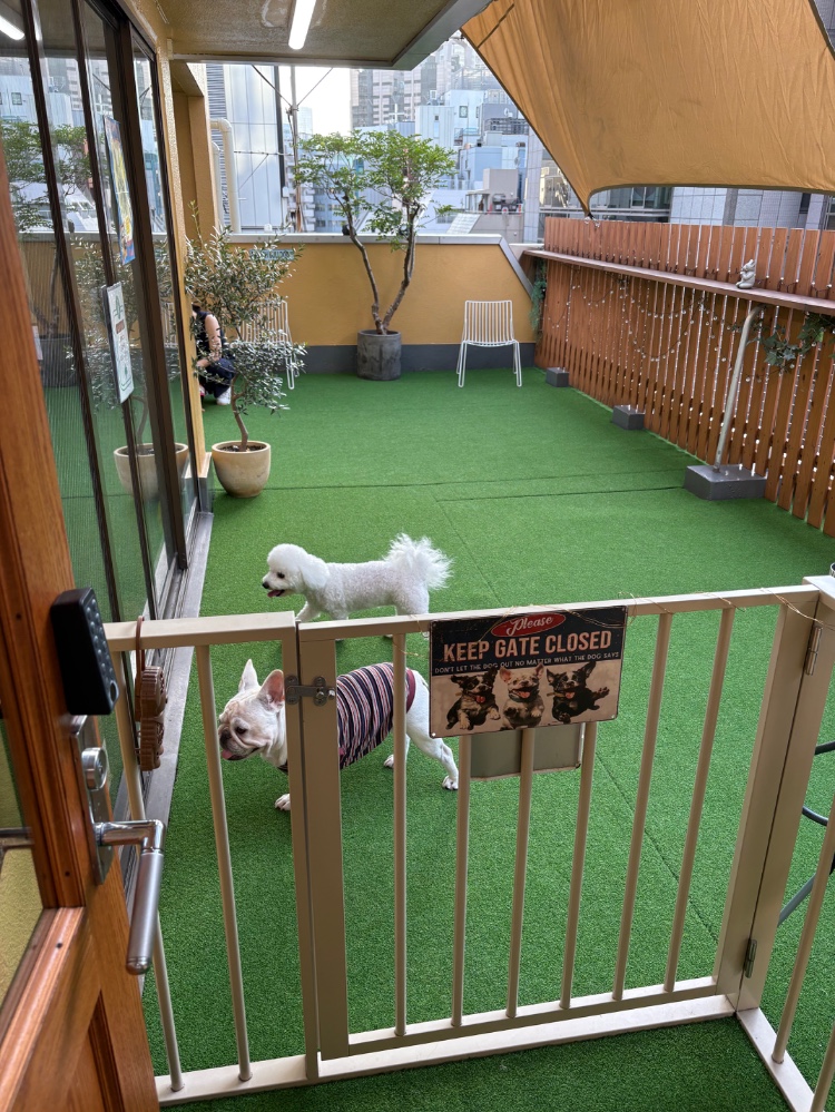 レビュー画像1