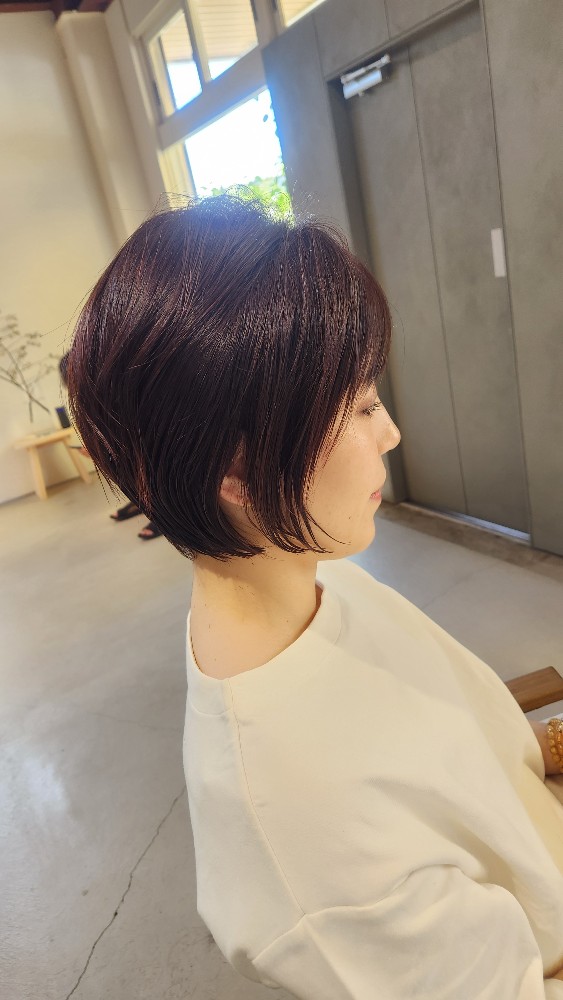 レビュー画像1
