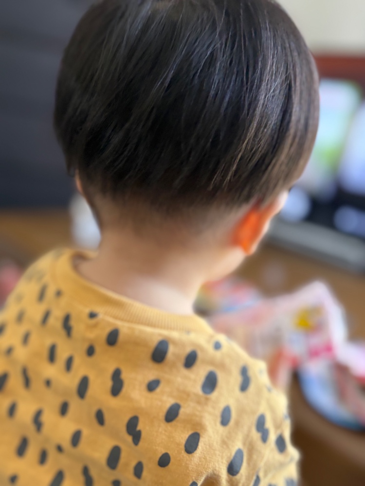 レビュー画像2
