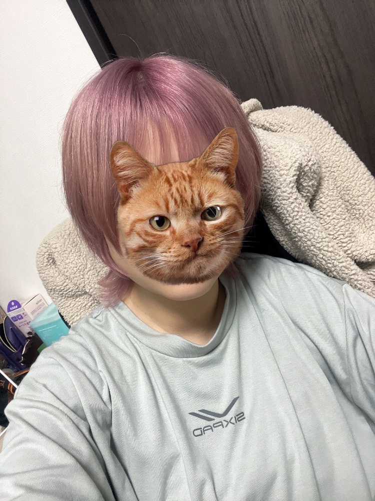 レビュー画像2