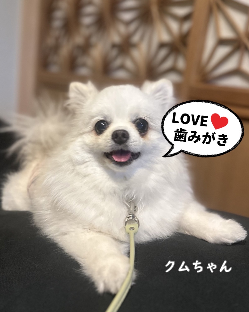 レビュー画像1