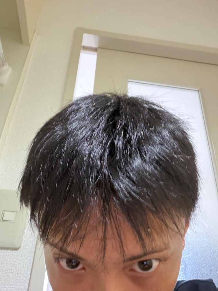 レビュー画像1