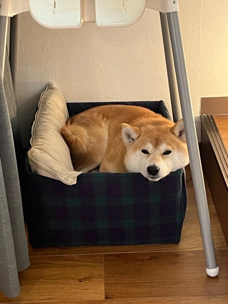 レビュー画像1