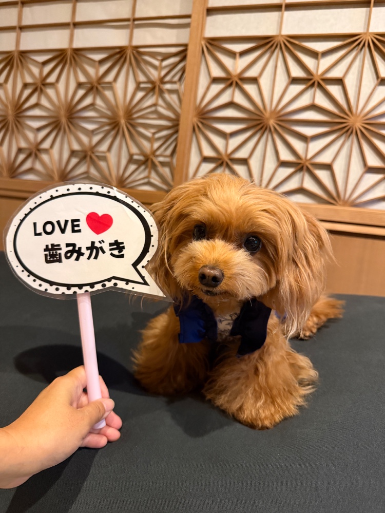 レビュー画像1