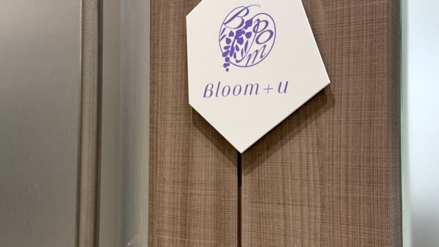 Bloom＋u
