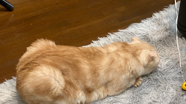 サロンの雰囲気2