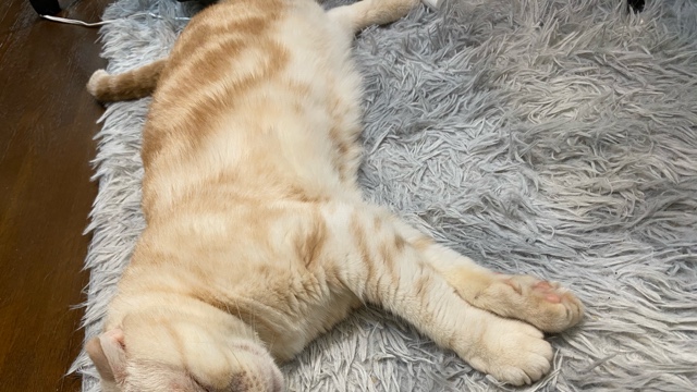 サロンの雰囲気3