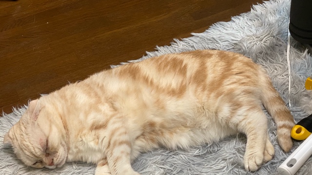 サロンの雰囲気4