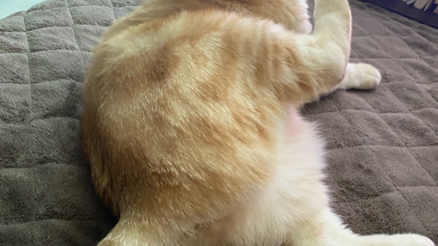 サロンの雰囲気5