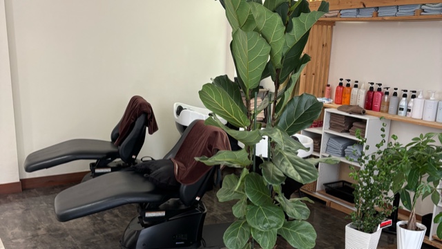 サロンの雰囲気5