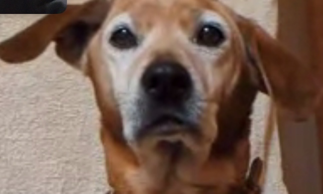 サロンの雰囲気3