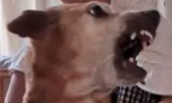 サロンの雰囲気5