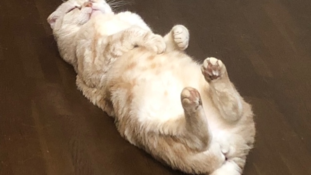 サロンの雰囲気5