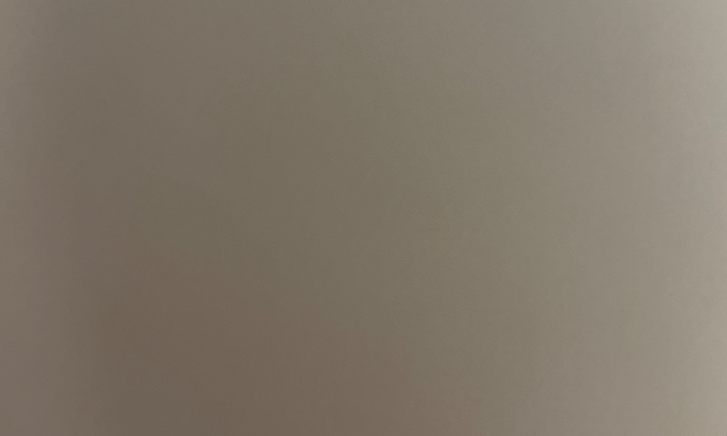 しゅけのサロン