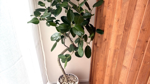 サロンの雰囲気3