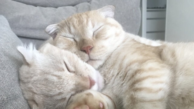 オーナーサロンのサロン