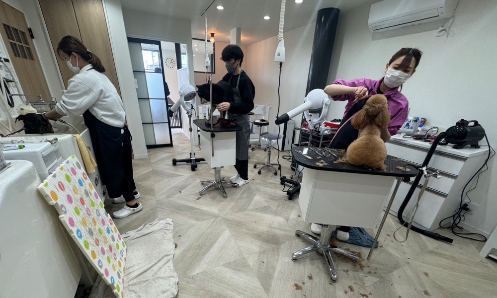 きょんのサロン