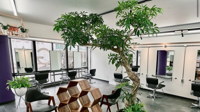 清水悠翼のサロン