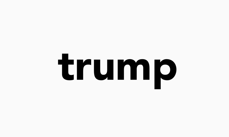 trump hair design