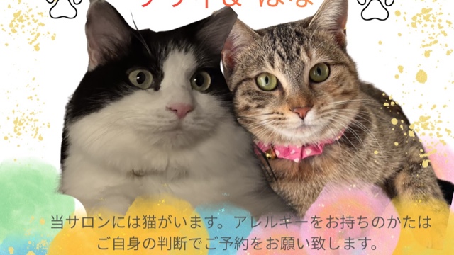 サロンの雰囲気4