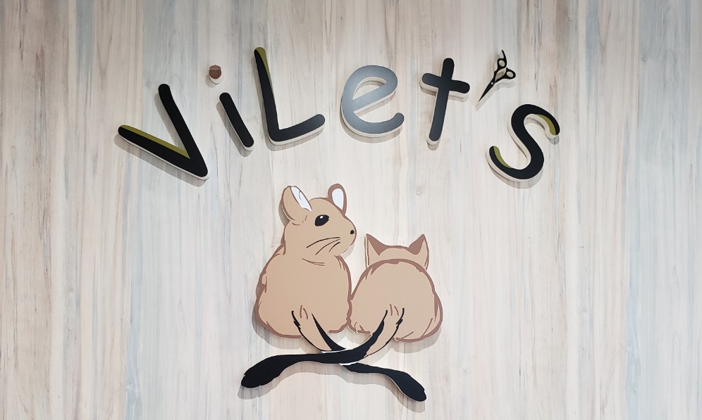 hair&Spa   ViLet's