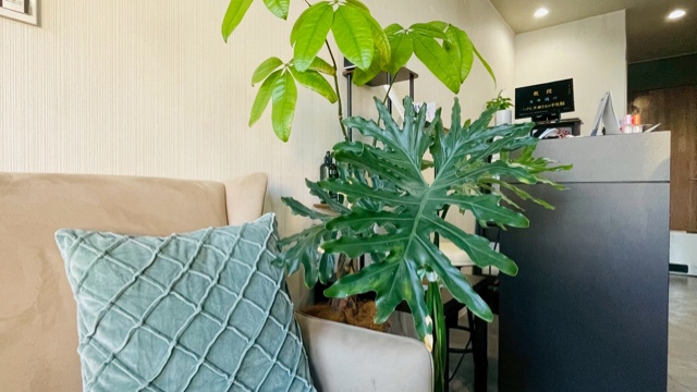 サロンの雰囲気4