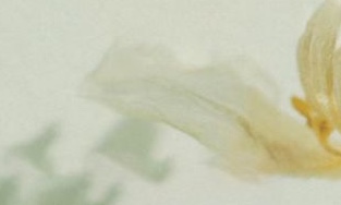 サロンの雰囲気4