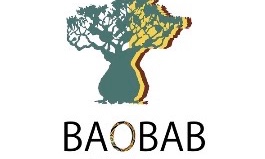 hair design BAOBAB 