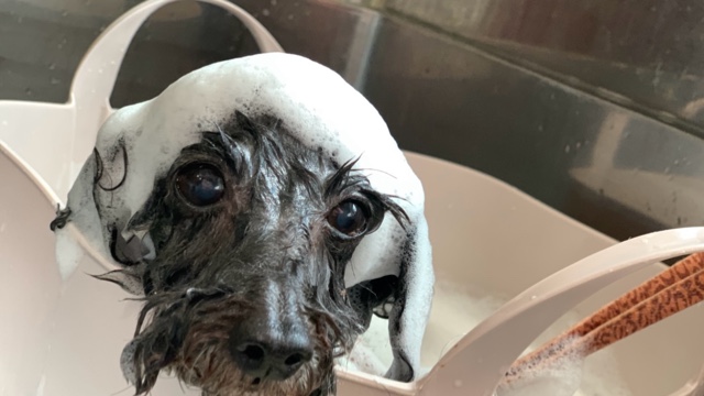 サロンの雰囲気5