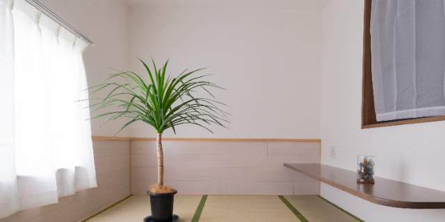 淀川裕太（男性予約専用）のサロン