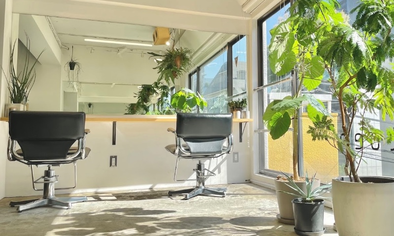 吉村　玲奈のサロン