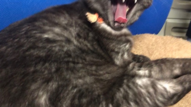 テストサロンのサロン