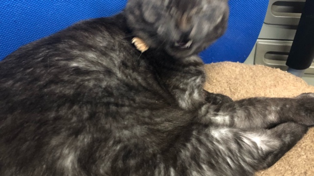 サロンの雰囲気5