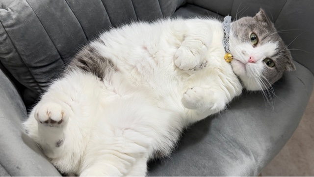 サロンの雰囲気4