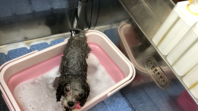 サロンの雰囲気5