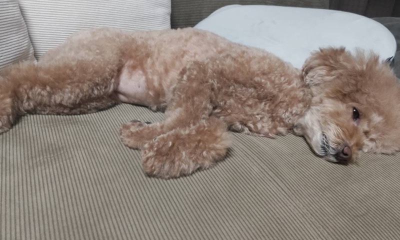 サロンの雰囲気2