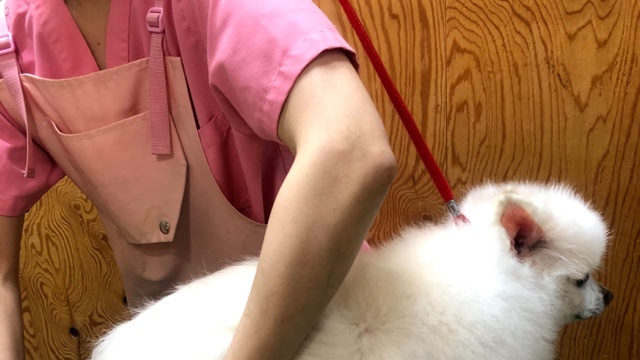 サロンの雰囲気3