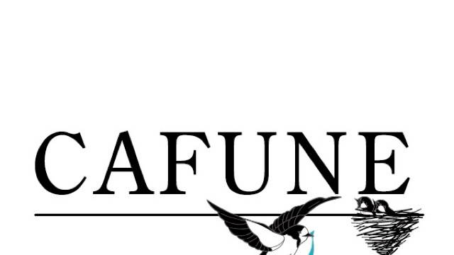 布施拓也のサロン