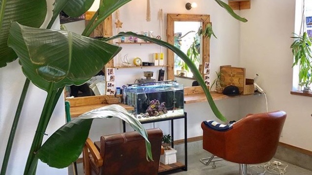 little hair salon  Boksのサロン