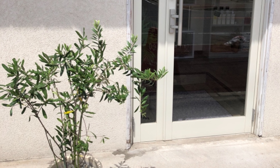 サロンの雰囲気2