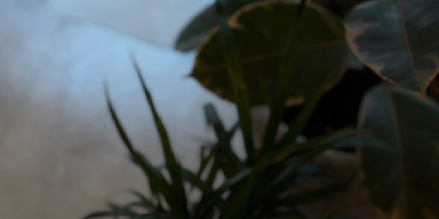 サロンの雰囲気5