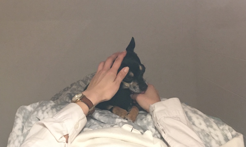 サロンの雰囲気3