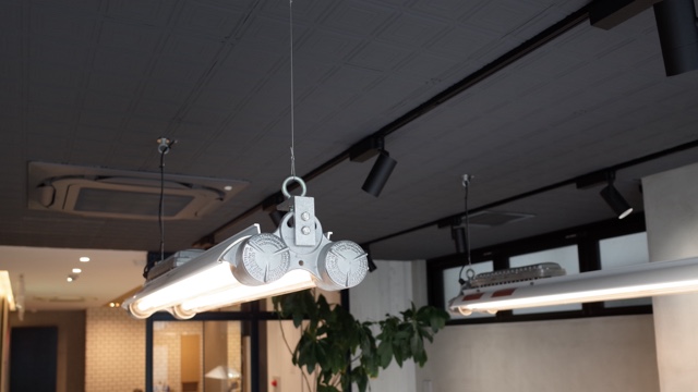 春岡桐人のサロン