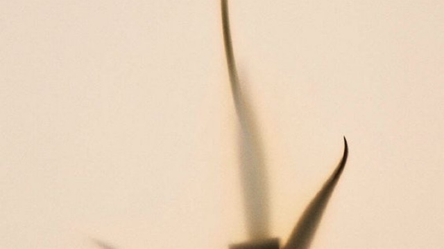 サロンの雰囲気2