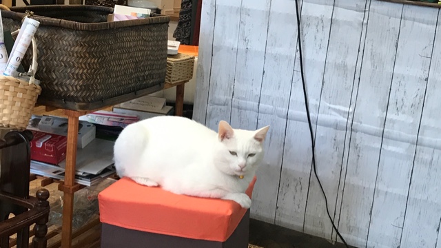 サロンの雰囲気4